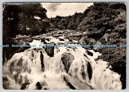 D331681 Bettys y Coed. N. Wales. Die Schwalbe fällt. Fotopräzision. St. Albans.
