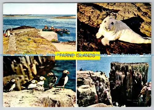 D33443 Farne Islands. J. Arthur Dixon. Multi View