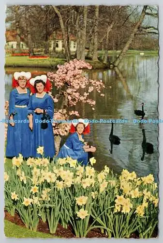 D325654 Holland. Keukenhof Lisse. L. Blok. Planeta. Haarlem. N. 1072. Postkarte