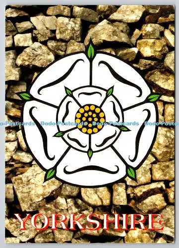 D329079 The Yorkshire Rose. Paul Ridsdale. Richter. Hastings. um 18640. Postkarte