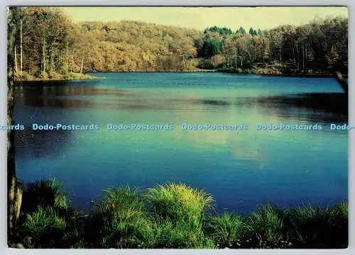 D334493 Melisey. L Etang du Grand Rosbeck. Mathon. 1992