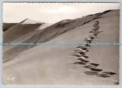 D334497 Pilat Plage. La Grande Dune. C.A.P. RP