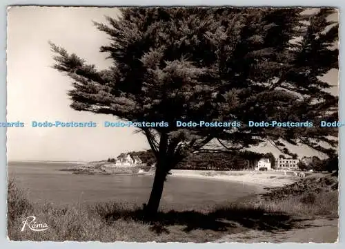 D331731 En Bretagne. Presqu Ile de Rhuys. La Plage de port Navalo. Rema. RP
