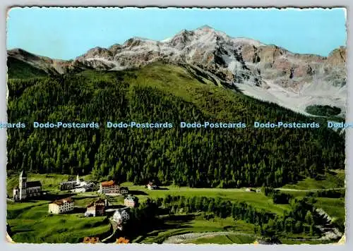 D331732 Sulden 1900 Versol Ortler. G. Ghedina. 1962