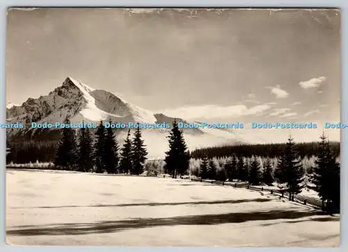 D331737 Vysoke Tatry. Krjvan. Tvar. PM. Praha