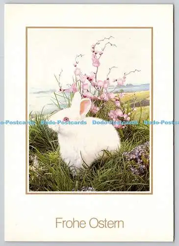 D325704 Frohe Ostern. Weißer Osterhase. Obpacher Verlag. Puchheim. München. 1