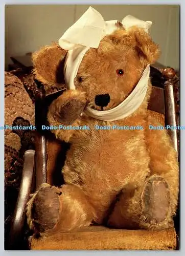D329141 Autsch. Teddybär mit bandagiertem Kopf. Jeremy Neave. Perspektiven Fotog