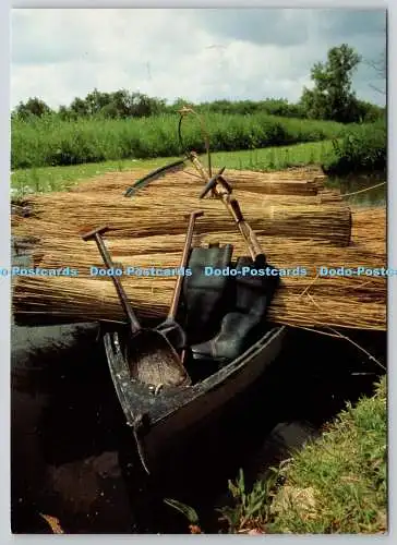 D325753 Norfolk Broads. Reedcutter-Werkzeuge. Martin Trelawny. London. Legacy Serie