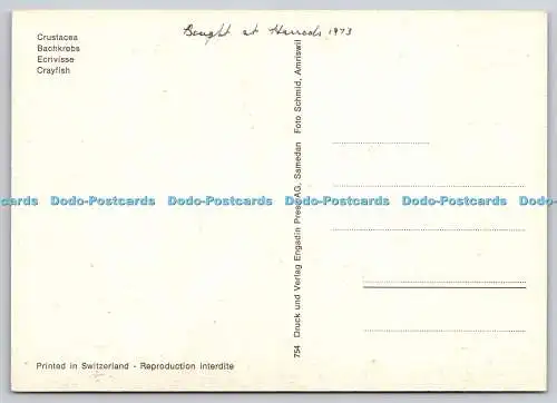 D329165 Krebse. Engadin Press AG. Samdean. Schmid. Amriswil. Schweiz. N. 7