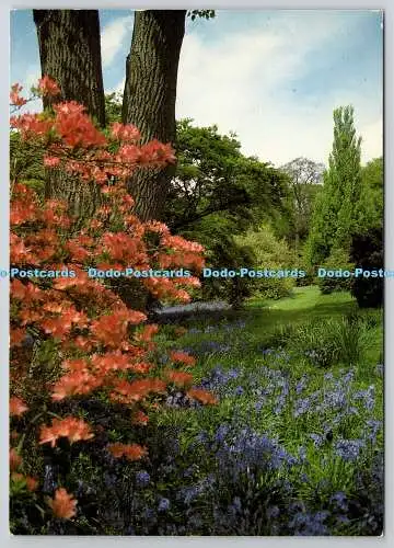 D325767 Kent. Ide Hill. Emmetts Garden. Kathy Gresty. National Trust. Larkfield