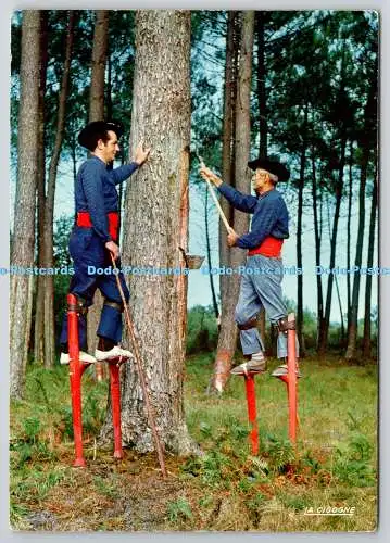 D325779 Dans la foret de pins. Les Resiniers. La Cigogne. Exklusive Hachette.