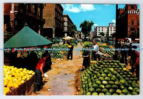 D334605 Espana. Melonenmarkt. Beascoa. Postkarte