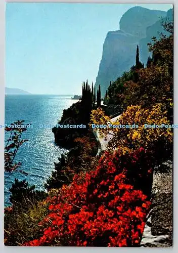 D329191 Gardasee. West Gardesana Road. APM. Farbdruck. A. Preda. Milano. N.1
