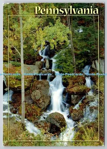 D329200 Pennsylvania. Wasserfall. Dan Amerson. Gold Star Products 2004. Prospekt.