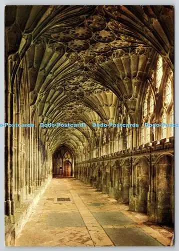 D329201 Südwestengland. Gloucester Cathedral. Der große Kreuzgang. Topische
