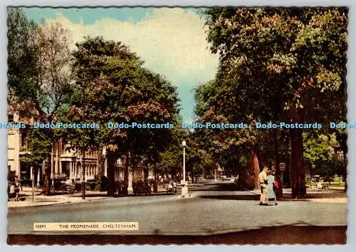 D331867 Cheltenham. Die Promenade. Harvey Barton