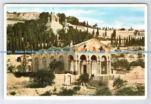 D334649 Jerusalem. Die Kirche von Gethsemane. Uvachrom. A. G. München