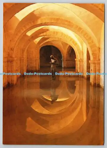 D325844 Winchester Cathedral. Gruft. Skulptur Sound II. Anthony Gormley. Roger