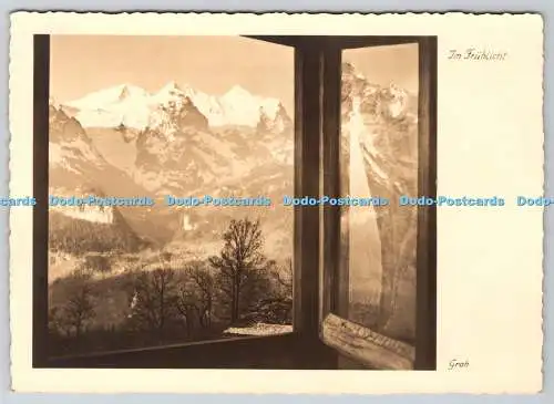 D331900 Im Fruhlicht. Groh. Wetterhorn