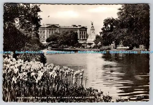 D331905 London. Buckingham Palace aus dem St. James Park. RP
