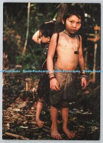 D325864 Baram Region Sarawak. Wasser tragen. Angie Zelter. Reforest the Eart