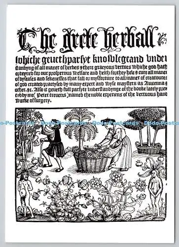 D325900 Titelblatt des ersten Bildbandes über Pflanzen, der in England erscheint