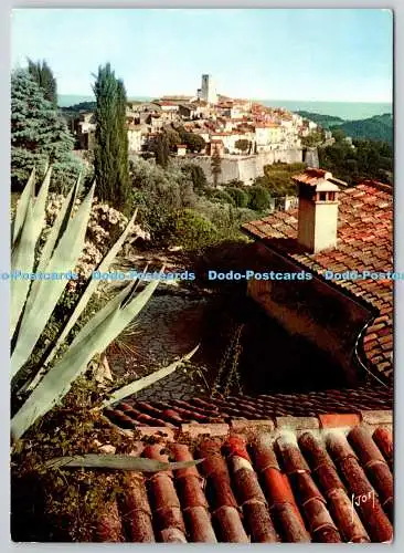 D325976 Alpes Maritimes. St. Paul. La cote d Azur. Miracle de la Nature. Vue g