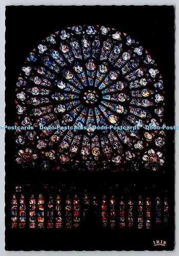 D325982 Frankreich. Paris. La Grande Rosace de Notre Dame. Chantal. Mexichrom. IRIS