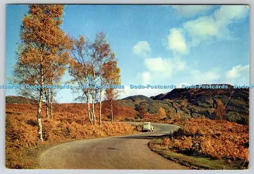 D332026 Perthshire. Schottland. Die Herzogsstraße zu den Trossachs. Aberfoyle. J. Arth