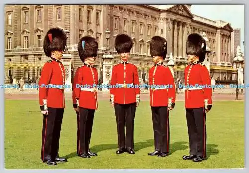 D326838 Gardisten der fünf Fußschutzregimenter. Coldstream Irish Scots W