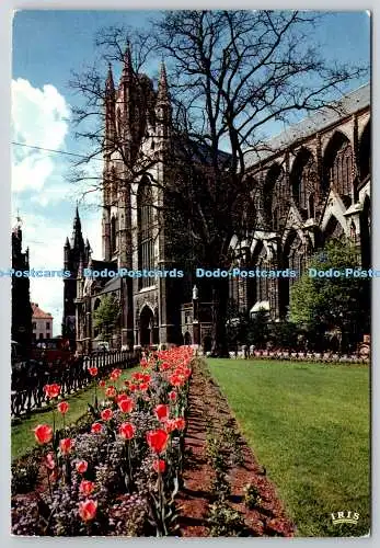 D329404 Gent. Dom und Glockenturm St. Bayern. Thill N. V. Brussel. Nels. Mexich