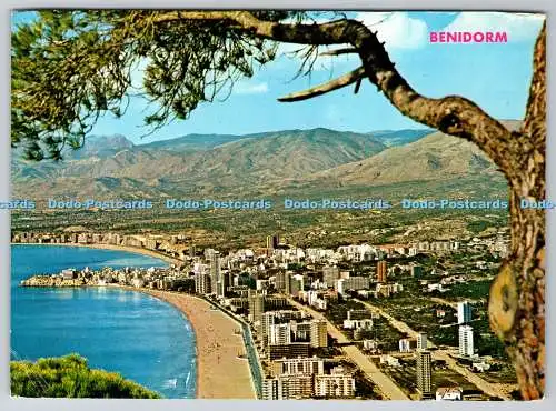 D332058 Benidorm. Alicante. Gesamtansicht. Hnos Galiana
