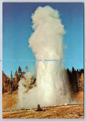 D329425 Yellowstone Nationalpark. Großer Geysir. Hamilton Stores. Mirro Krome. H