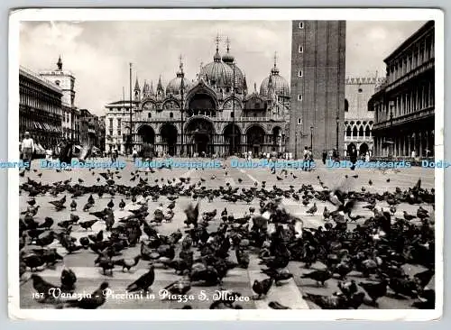 D332087 Venezia. Piccioni auf dem Markusplatz. G. Brocca