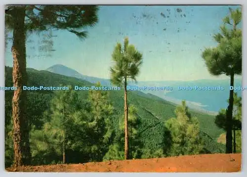 D326883 Teneriffa. Die Birne von Teneriffa Sean aus La Esperanza. Litografia A. Rom