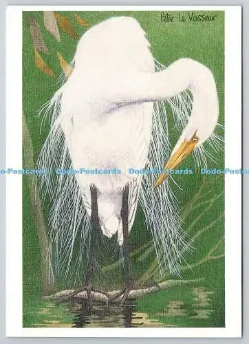 D329460 Weißreiher. Peter le Vasseur. Freunde der Erde. London. Leeds