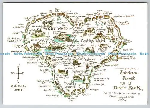 D326901 Karte. Lancaster Great Park von Ashdown Forest als Hirschpark. Richter Postc