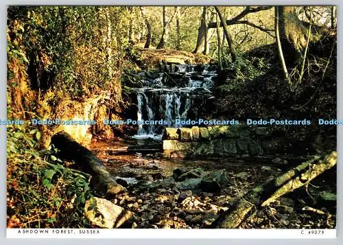 D326903 Sussex. Ashdown Forest umfasst 6400 Hektar Heide und Wald auf Hi