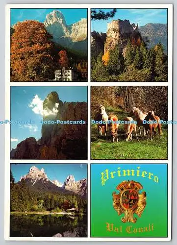 D329464 Primiero. Val Canali. Sebastiano Gadenz. S. G. P. Brunner. OK Spedisci Q
