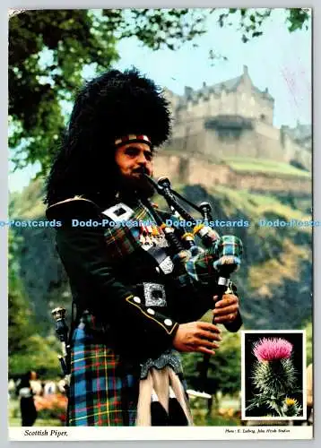 D329481 Schottland. Scottish Piper. Mariendistel. Silybum marianum. E. Ludwig. Joh