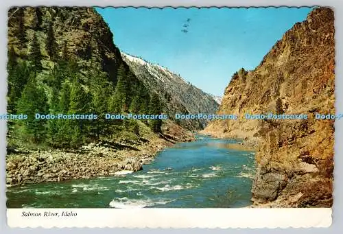 D326939 Idaho. Salmon River. River of No Return lockt Bootsliebhaber von