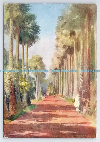 D334934 London County Council. Belohnungskarte. Botanischer Garten Palm Avenue. Calcu