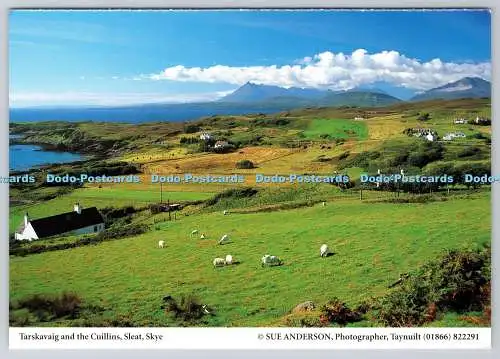 D326962 Skye. Schlafen. Tarskavaig und die Cuillins. Sue Anderson. Taynuilt. Richter