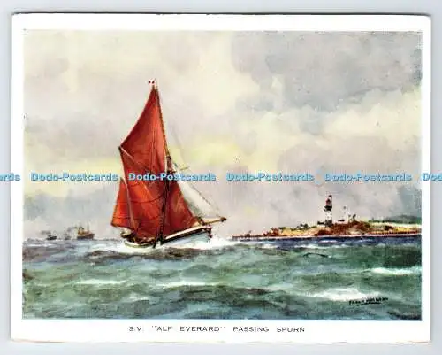 D334956 S.V. Alf Everard Passing Spurn. F. T. Everard