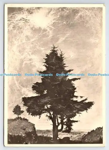 D334959 München. Haus der Deutschen Kunst. Willi Kriegel. Mittag. Hoffmann. PM. C