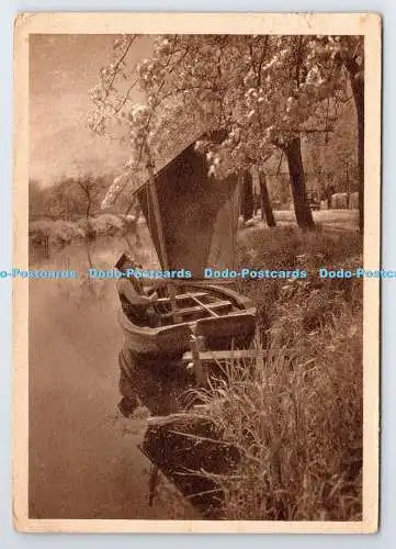 D334960 Unser Schones Deutschland. Baumblute an der Niederelbe. PM. Manchester.