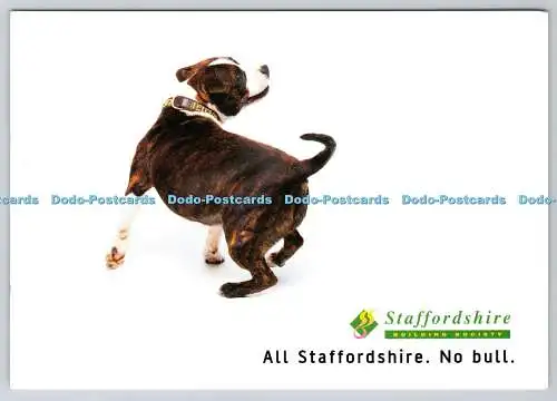 D326998 Hund. Staffordshire Building Society. Alle Staffordshire. Kein Stier. Wolverh