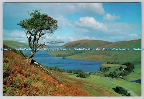 D327005 St Mary's Loch and Tibbie Shiels Inn. Serkirkshire. W. S. Thomson Ltd.E