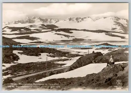 D332243 Norge. Skagstelstind. Eberh B. Oppi. Oslo