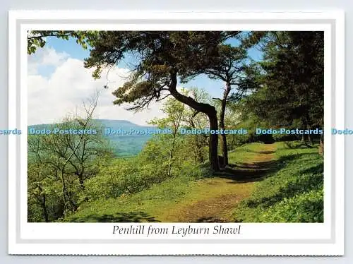 D335025 Penhill von Leyburn Schal. The Yorkshire Dales. Richter. LC. 64
